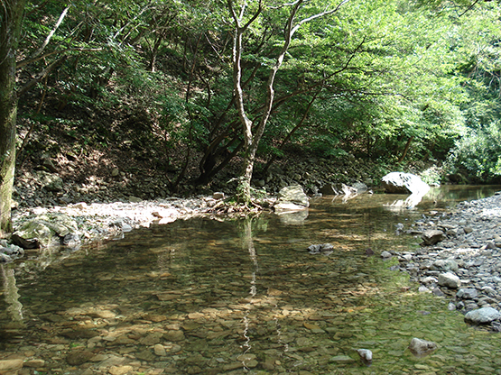 강천산 계곡